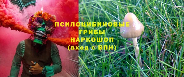 дживик Мегион