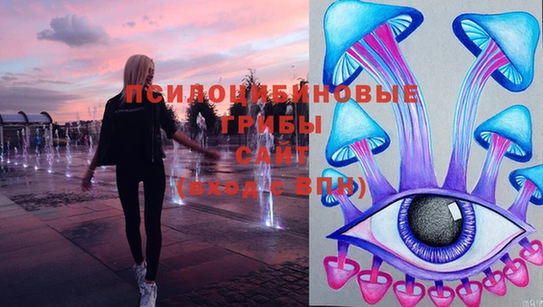 сатива Лихославль