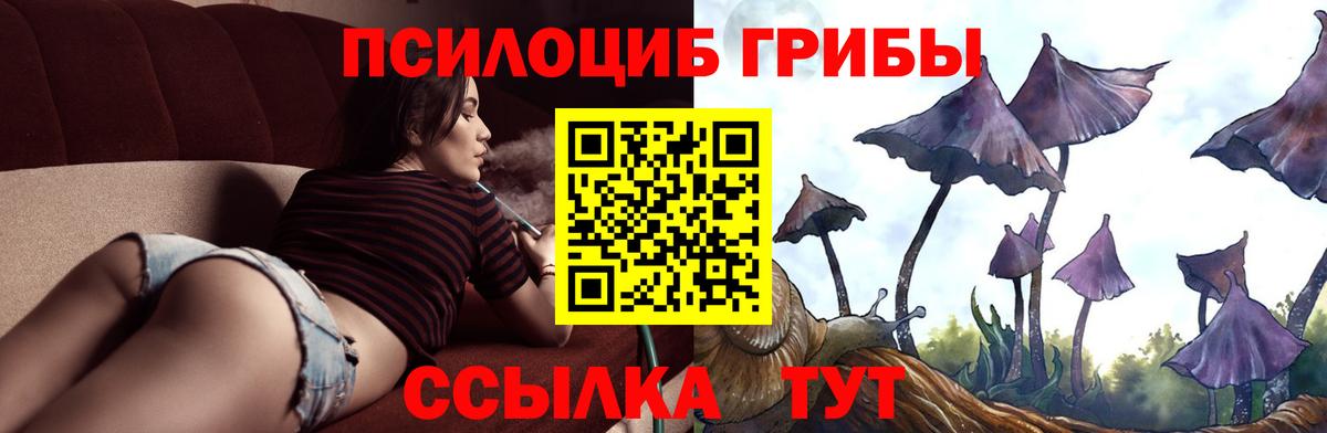 Псилоцибиновые грибы Cubensis  Лобня 