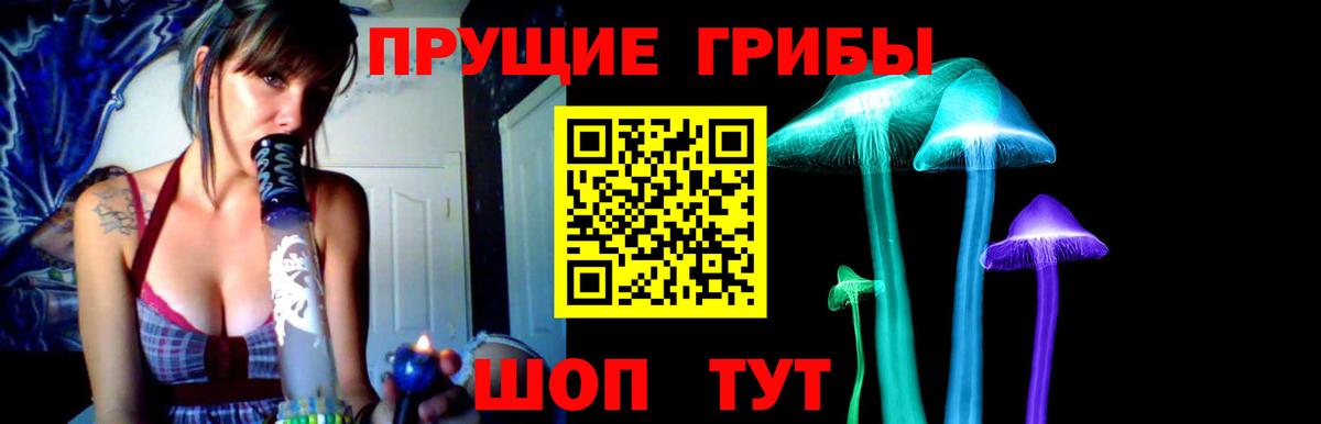 Галлюциногенные грибы GOLDEN TEACHER Лобня