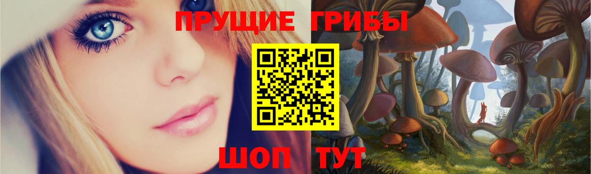 Псилоцибиновые грибы Cubensis  Вход с VPN  даркнет сайт  Лобня 